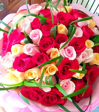 13645231_10154352810363711_7956764827455406187_n