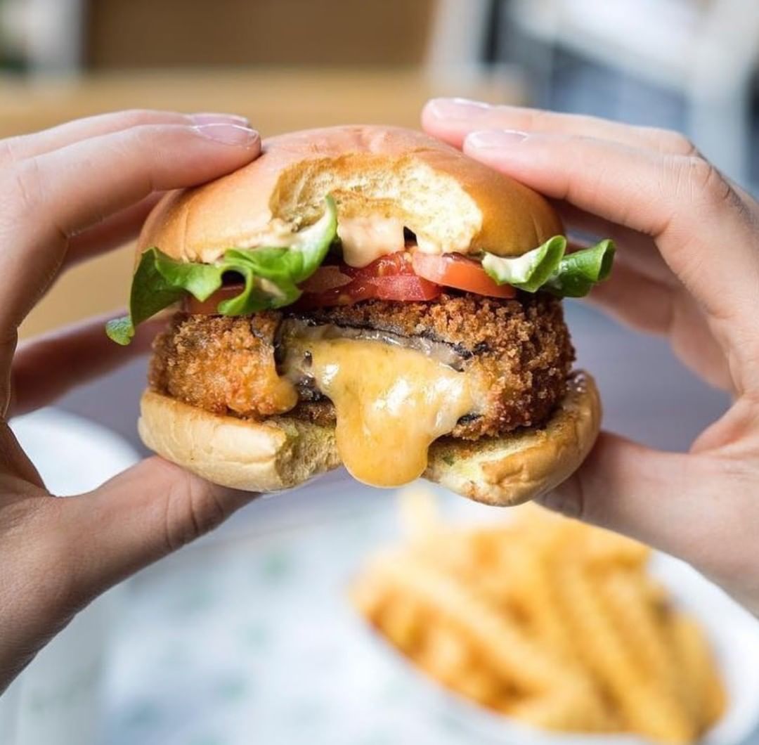 Shake Shack 5 VivoCity 
